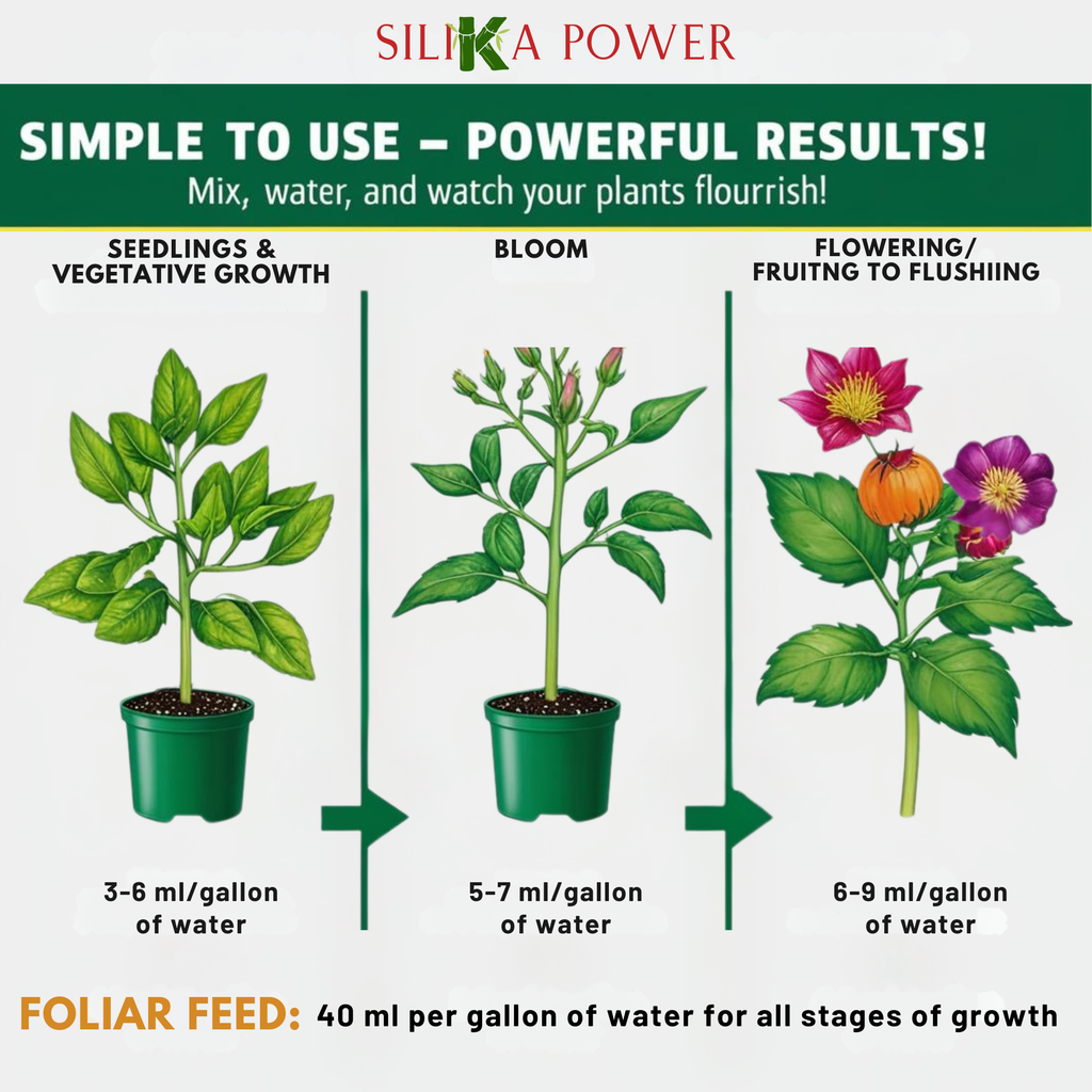 SiliKa Power – Premium Liquid Silica Plant Fertilizer and Supplement