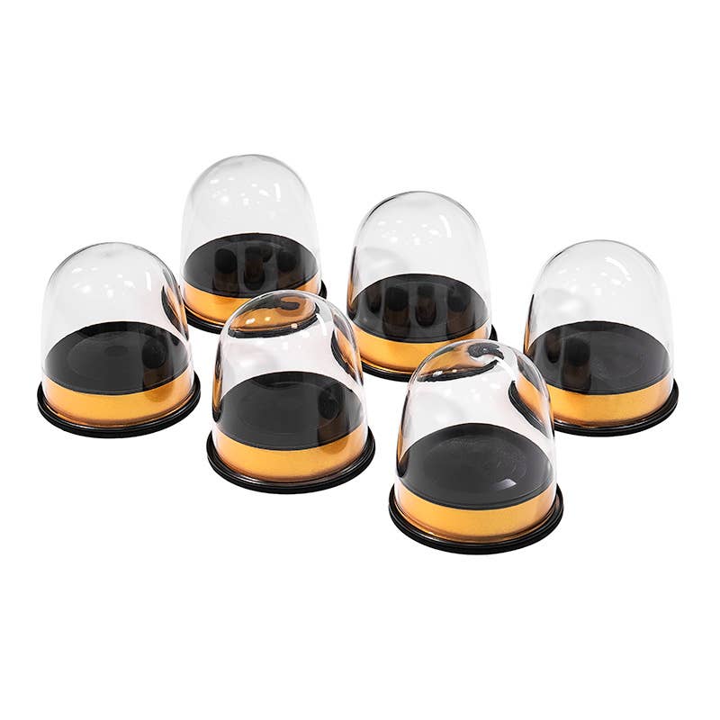 Tea Aroma Smell Cup - Loose Leaf Tea Display : 6pcs Tea Scent Set