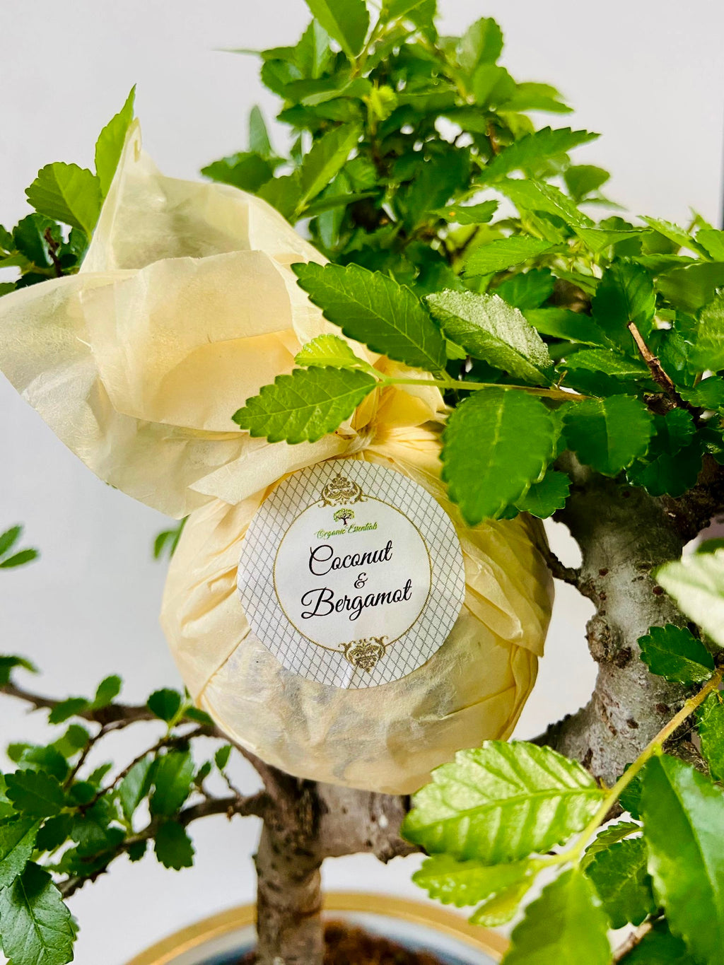 Therapeutic Bath Bomb - Organic Coconut & Bergamot Essential Oils